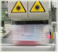 Click for more pictures